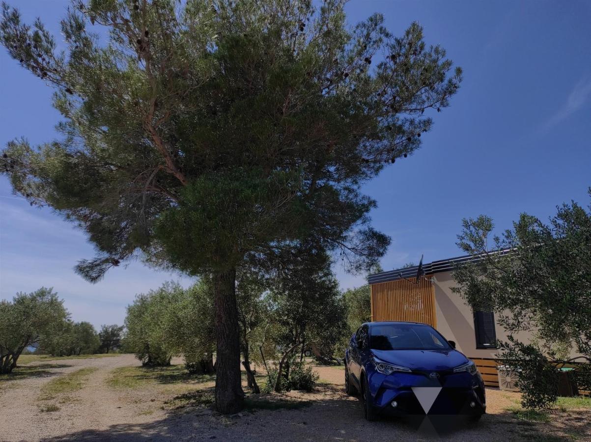 Zen Zone Premium Mobile Home Drage Luaran gambar